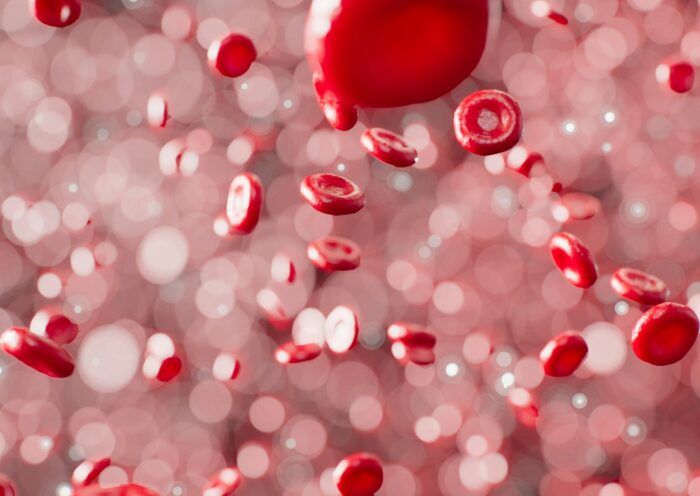 Image of blood cells