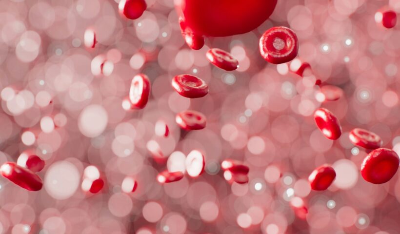 Image of blood cells