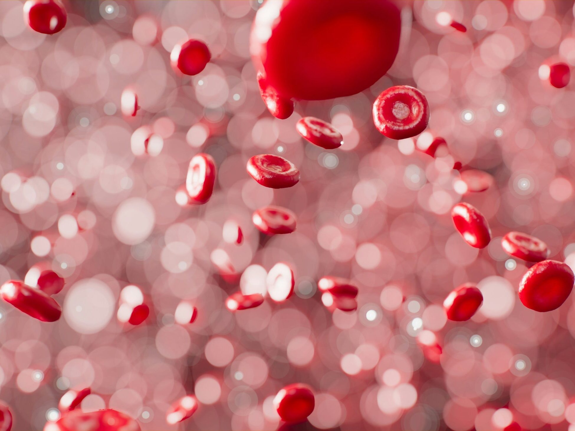 Image of blood cells